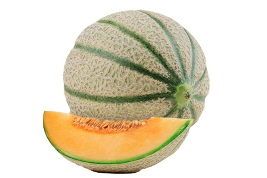 MELONE RETATO CANTALUPO Ferfrut srl